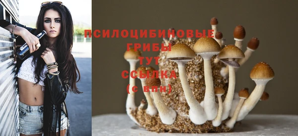 эйфоретик Аркадак
