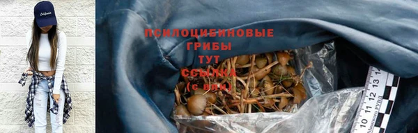 гидропоника Арсеньев