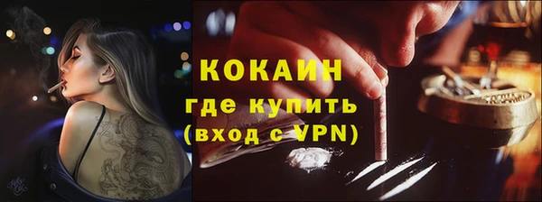 прущие грибы Болхов