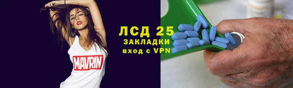 прущие грибы Болхов