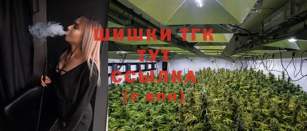 эйфоретик Аркадак