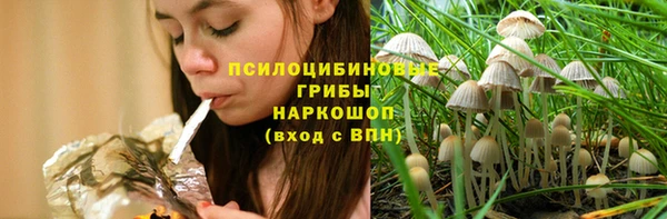 эйфоретик Аркадак