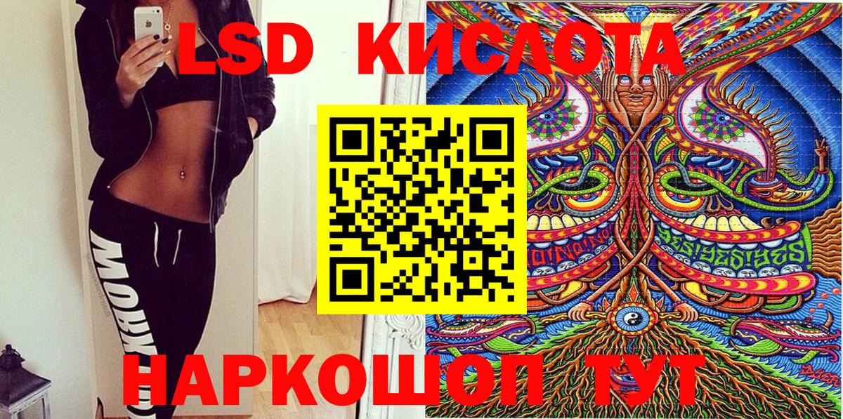 Псилоцибиновые грибы Глазов
