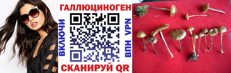 blacksprut ТОР  наркота  Глазов  Псилоцибиновые грибы прущие грибы 