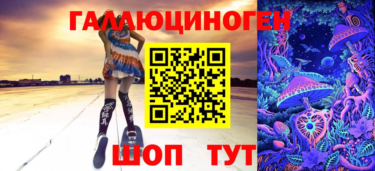 Псилоцибиновые грибы Psilocybe Глазов