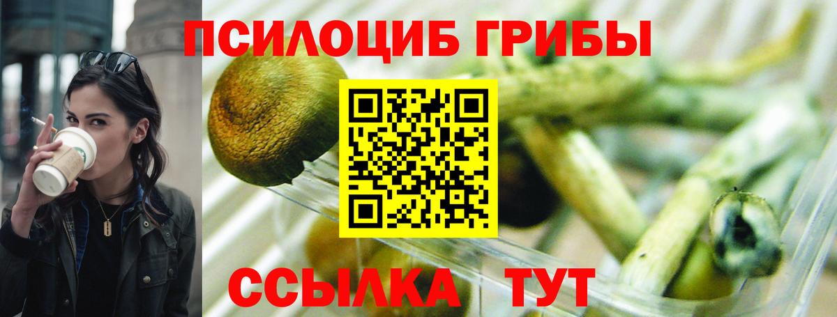Глазов  Псилоцибиновые грибы мицелий  Вход с VPN 